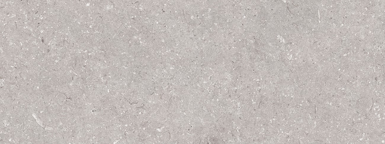  Coral Acero 450x1200