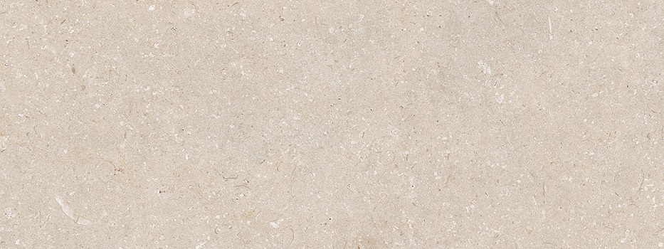  Coral Caliza 450x1200