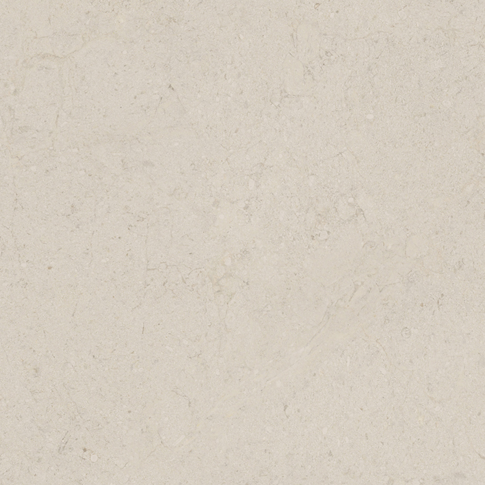  Dorcia Bone L 1200x1200