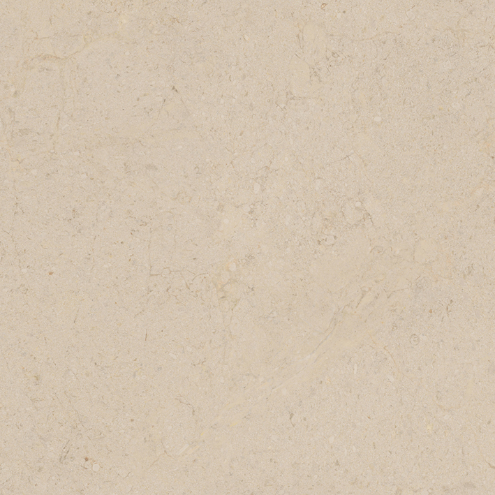  Dorcia Marfil L 800x800