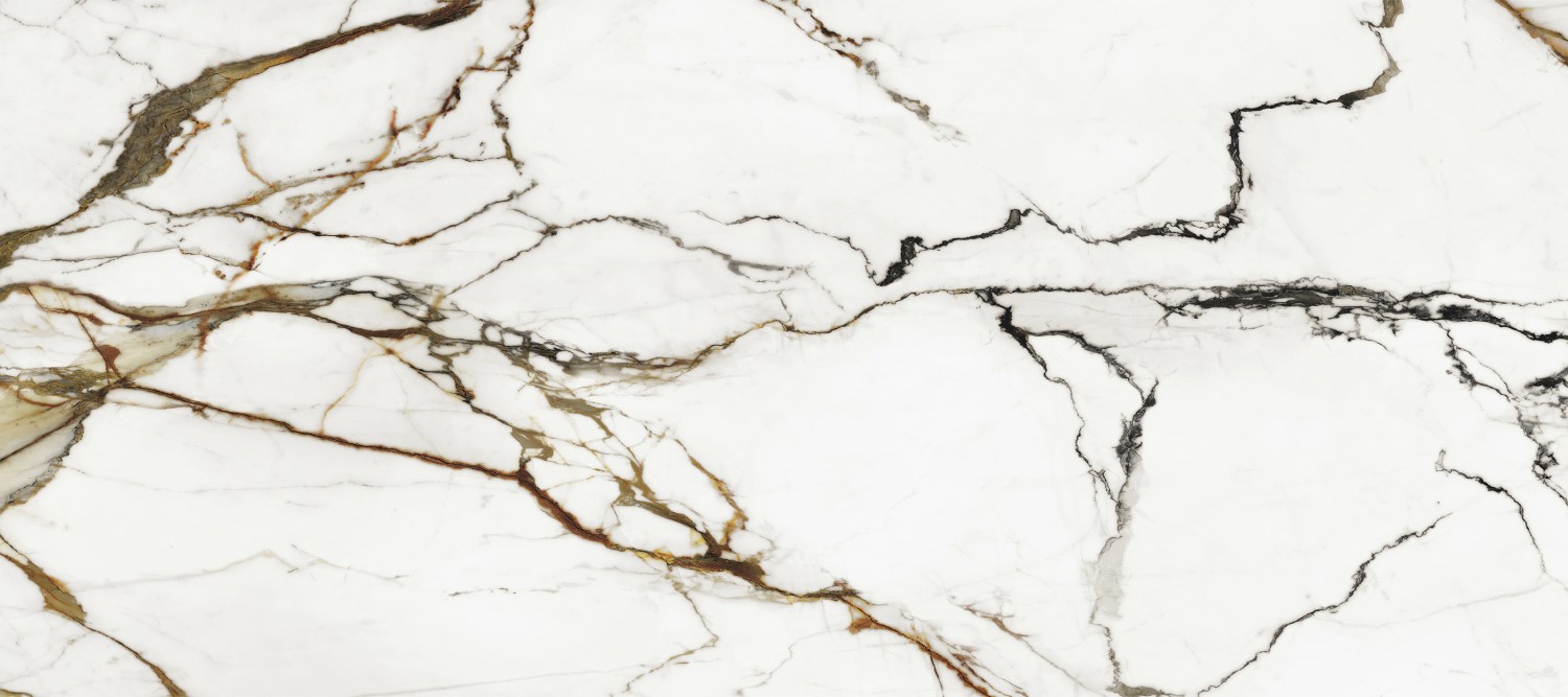  Paonazzo Biondo Polished 1200x2700