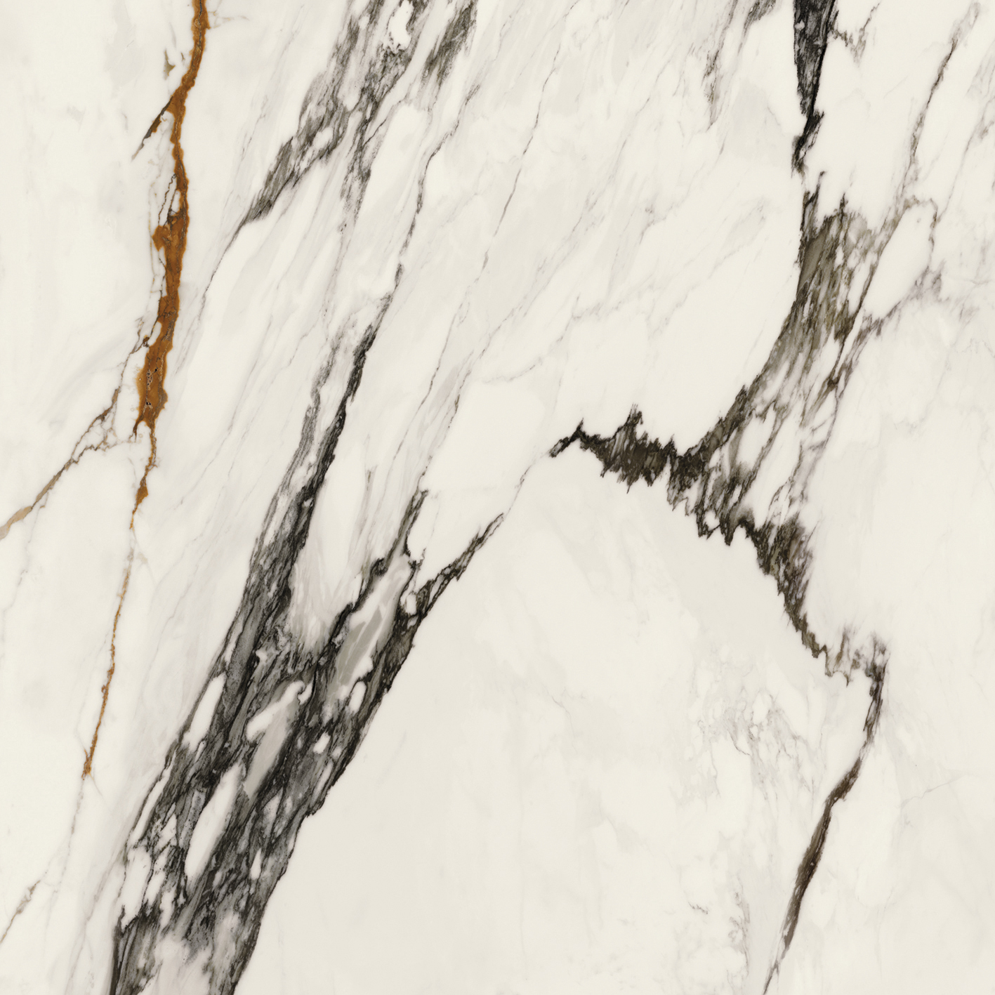  Paonazzo Biondo Silk PV6 1200x1200